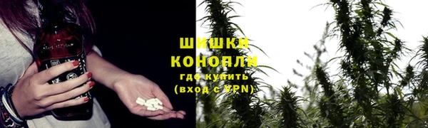 трава Заволжск