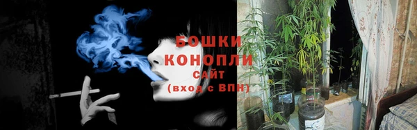 крисы Заводоуковск