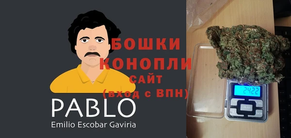 крисы Заводоуковск