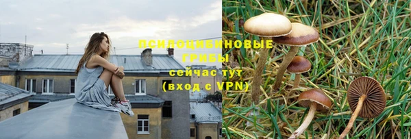 трава Заволжск
