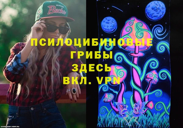 крисы Заводоуковск